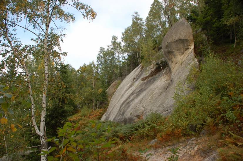 Соколівка з panoramio.com - Sokolivka