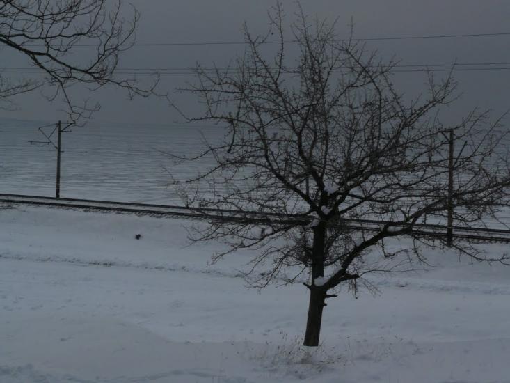 Кам'янське з panoramio.com - Каменское