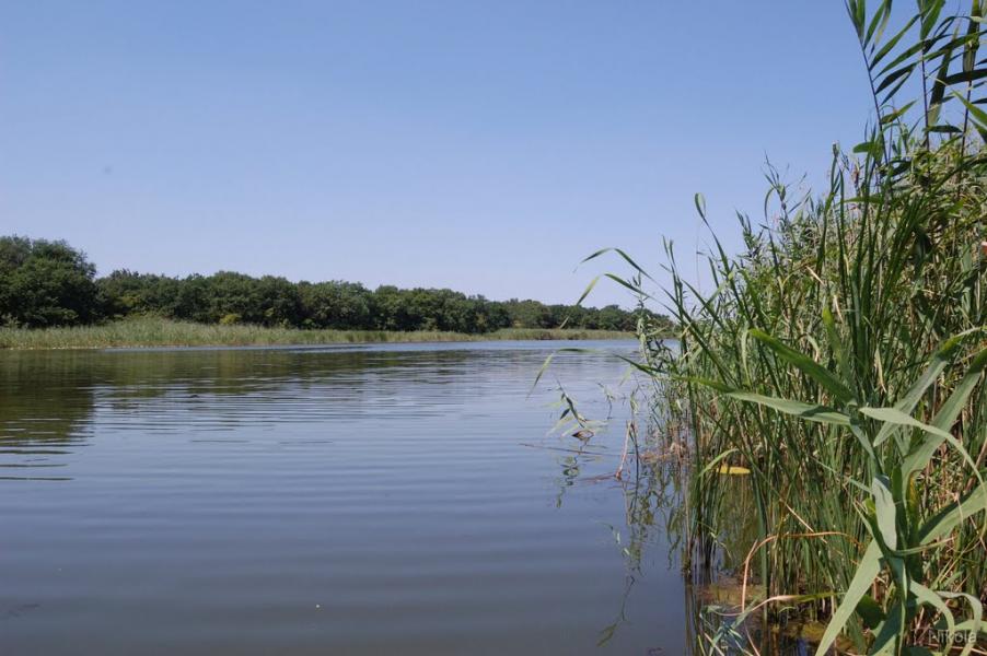 Сиротине з panoramio.com - Сиротине