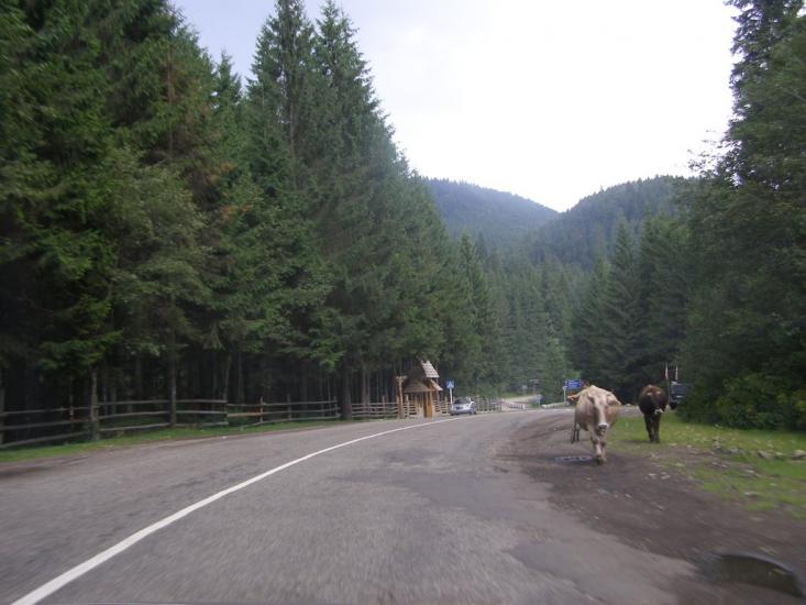 Поляниця з panoramio.com - Поляница