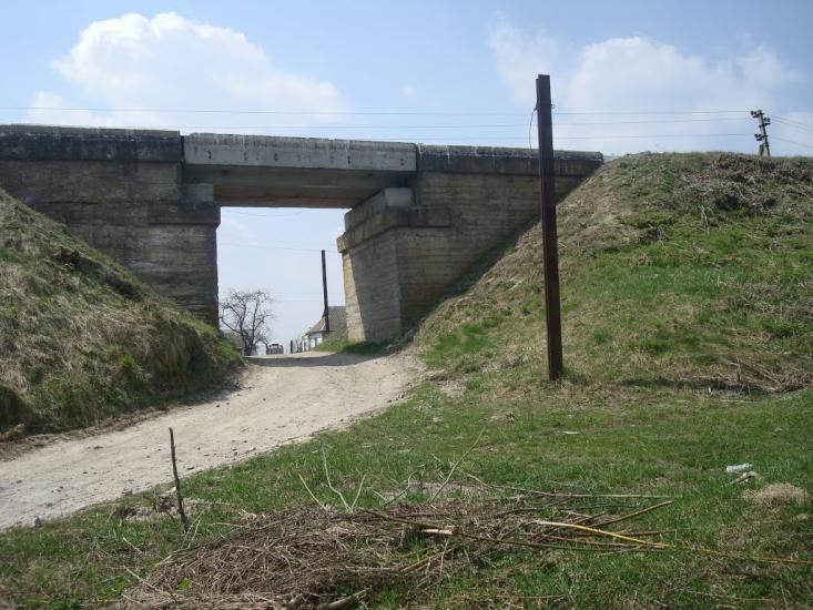 Лісова Волиця з panoramio.com - Lisova Volytsya