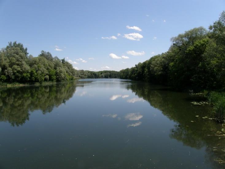 Пришиб з panoramio.com - Пришиб