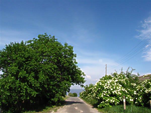 Григорівка з panoramio.com - Григоровка