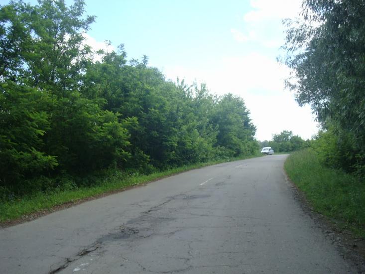 Малашівці з panoramio.com - Malashivtsi