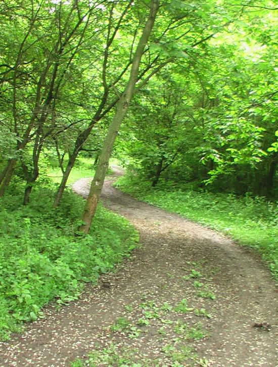 Біла з panoramio.com - Біла