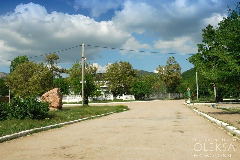 Новобобрівське з panoramio.com - Новобобровское