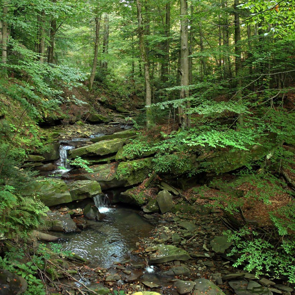 Крушельниця з panoramio.com - Krushelnytsya