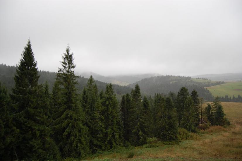 Сянки з panoramio.com - Сянки