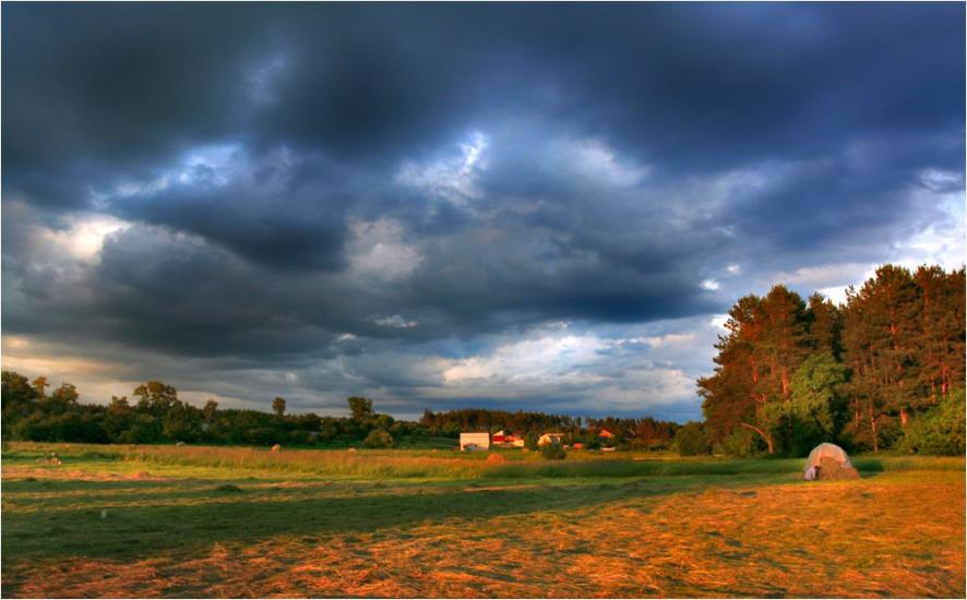 Скоморохи з panoramio.com - Скоморохи