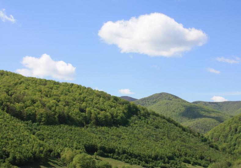 Ганьковиця з panoramio.com - Ганьковица