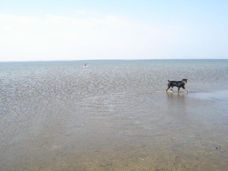 Соляне з panoramio.com - Соляное