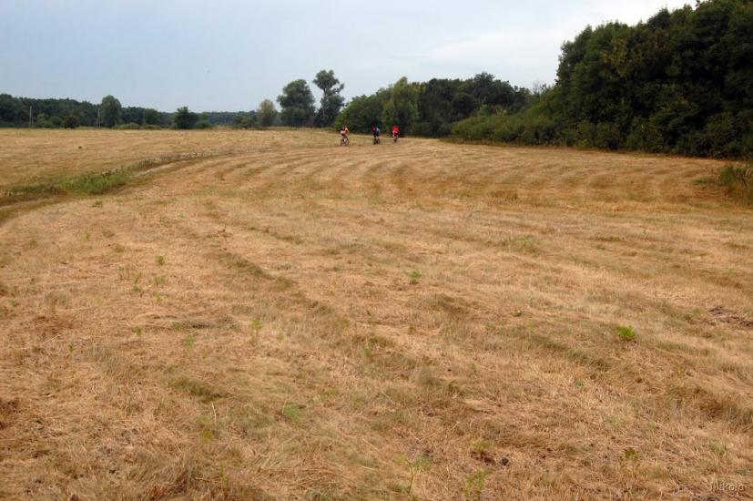 Нижнє з panoramio.com - Nyzhnye