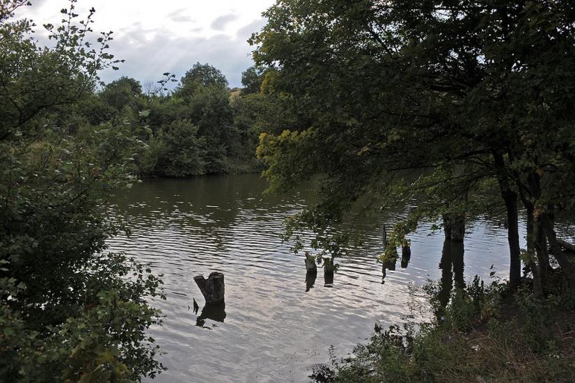 Новгородське з panoramio.com - Новгородське