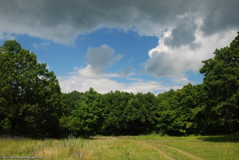 Питомник з panoramio.com - Питомник
