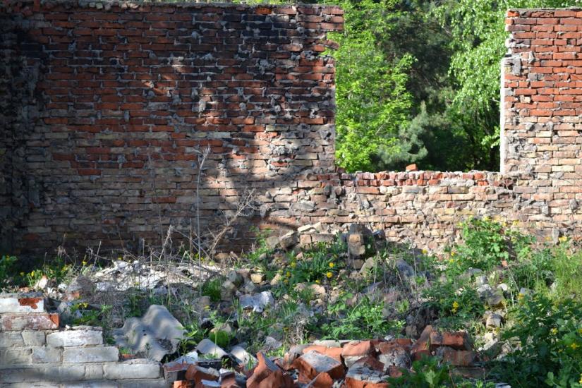 Дернівка з panoramio.com - Дерновка