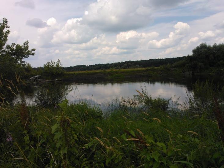 Пархоменкове з panoramio.com - Пархоменкове