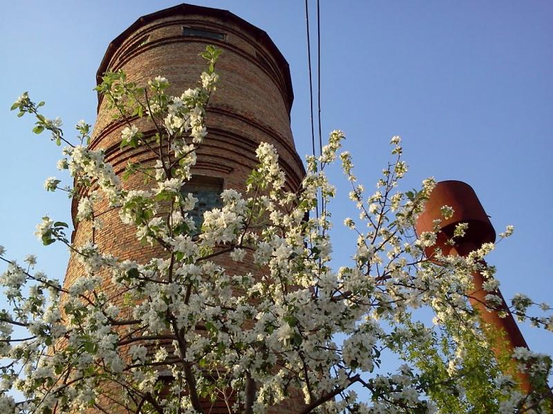 Полонка з panoramio.com - Полонка