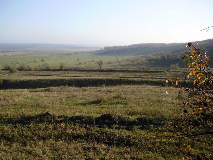 Козубівка з panoramio.com - Козубівка