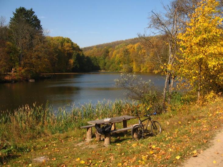 Вакалівщина з panoramio.com - Вакаловщина