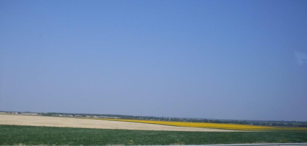 Болгарка з panoramio.com - Болгарка