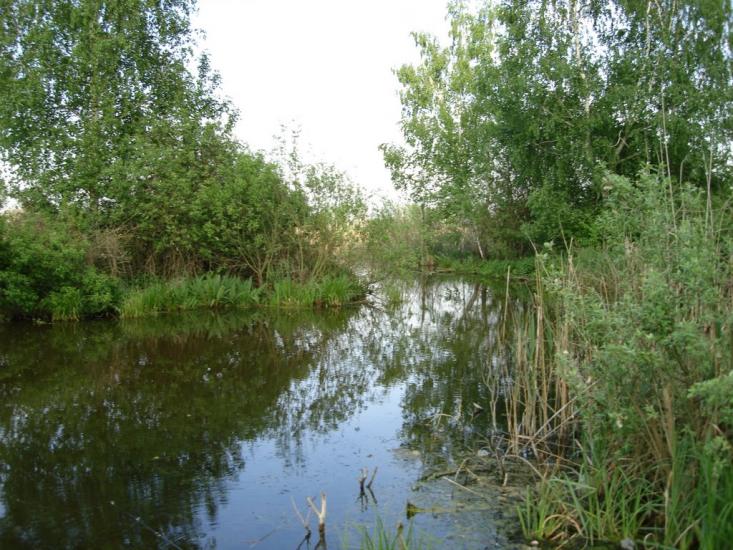 Старосілля з panoramio.com - Староселье