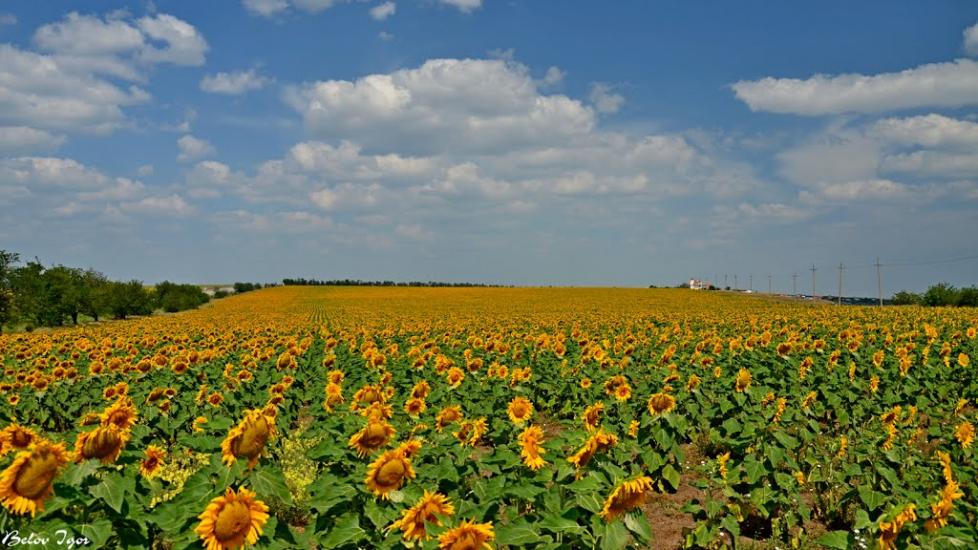 Болгарка з panoramio.com - Болгарка