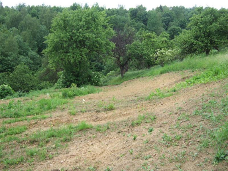 Перепростиня з panoramio.com - Pereprostynya