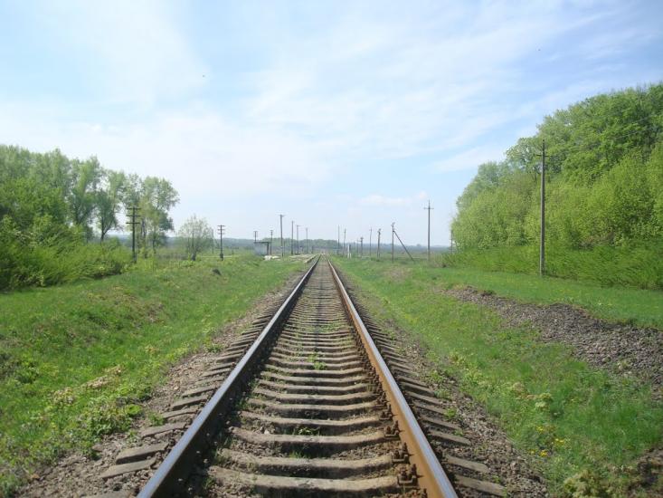 Старі Бейзими з panoramio.com - Старі Бейзими