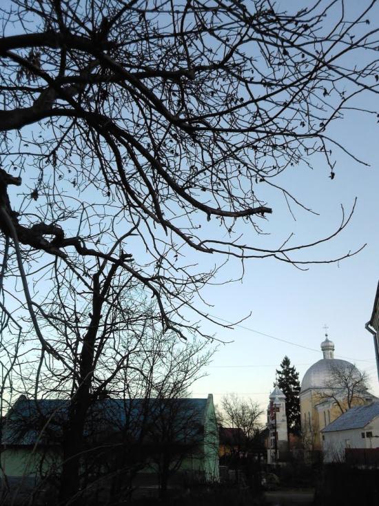 Лисиничі з panoramio.com - Лисиничі