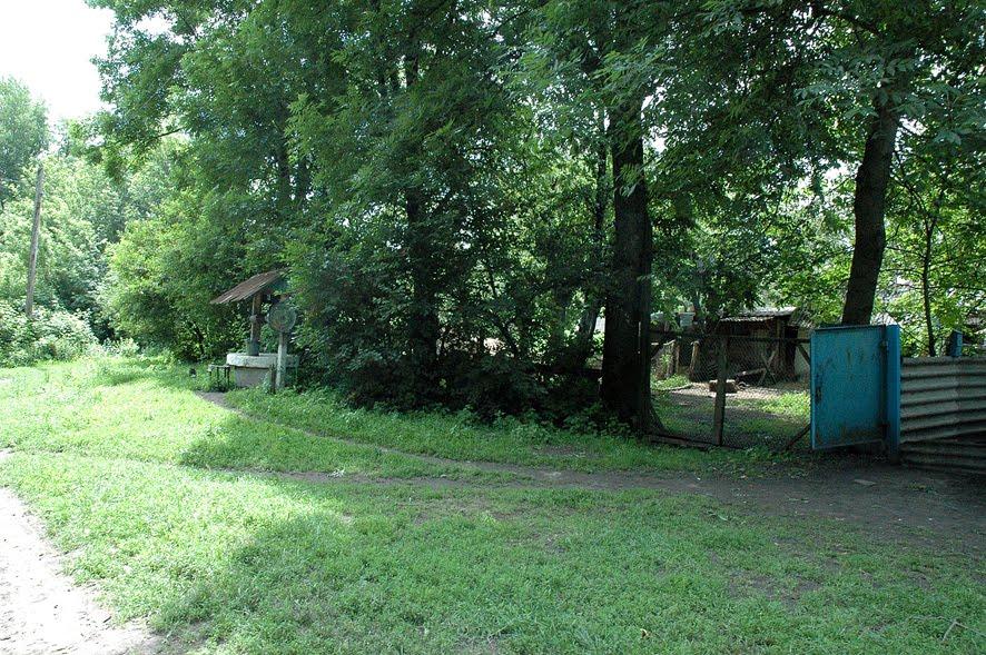 Червоний Степ з panoramio.com - Червоная Степь