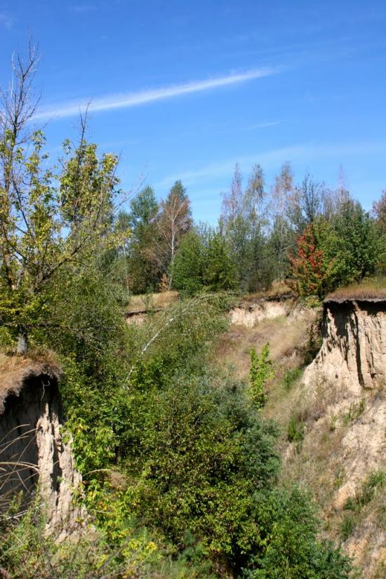 Григорівка з panoramio.com - Григоровка