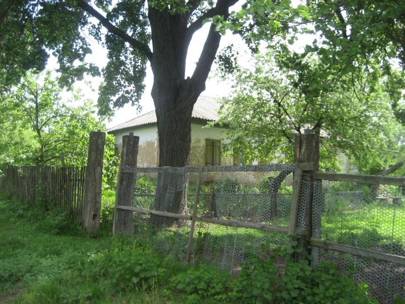 Северинівка - Северинівка