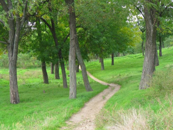 Горностаївка з panoramio.com - Горностаевка