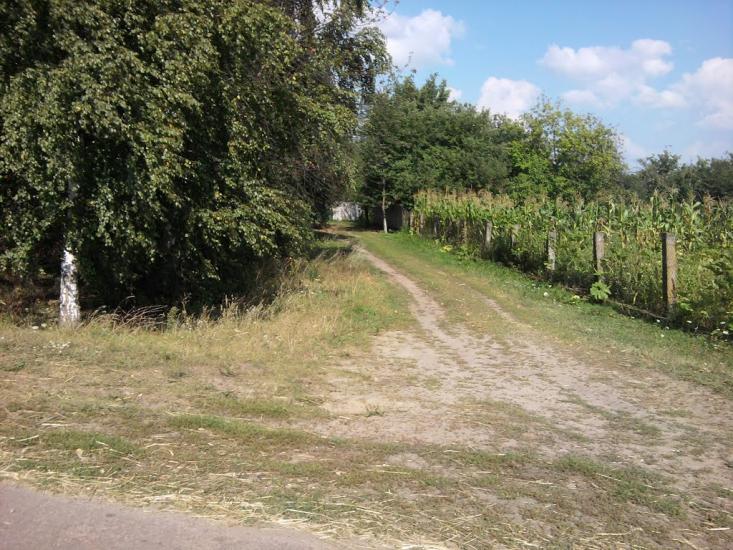 Терехівка з panoramio.com - Тереховка