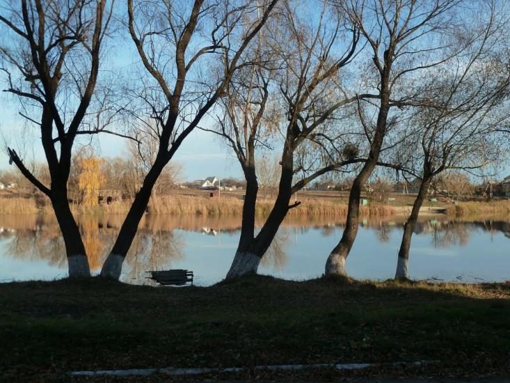 Миронівка з panoramio.com - Мироновка