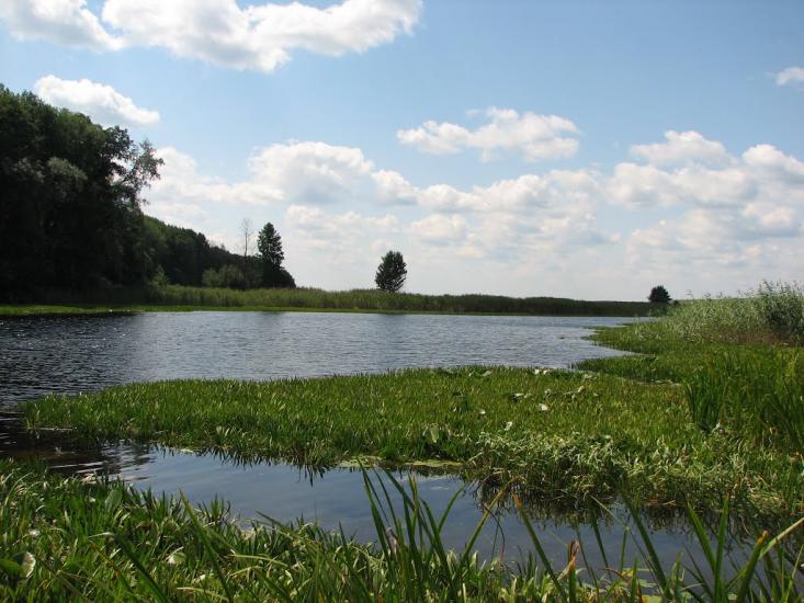 Гірки з panoramio.com - Горки