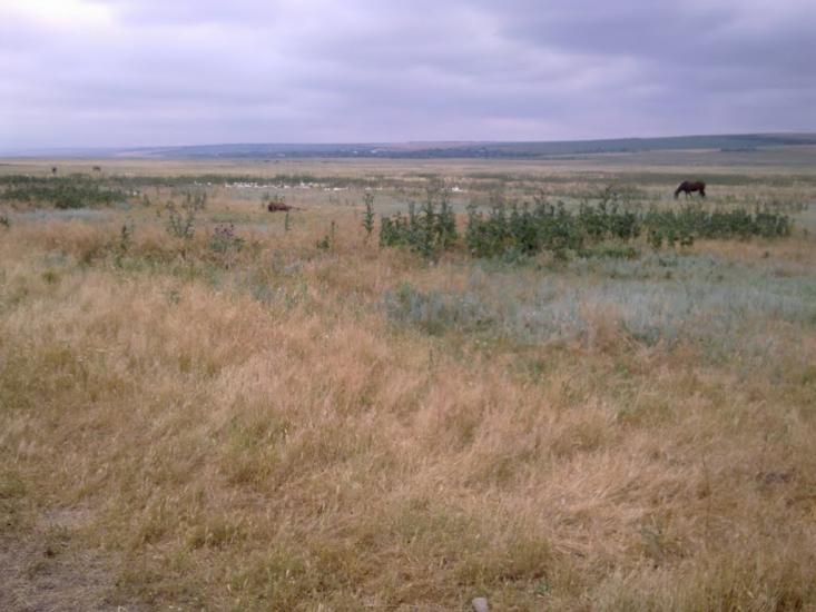 Юр'ївка з panoramio.com - Юрьевка