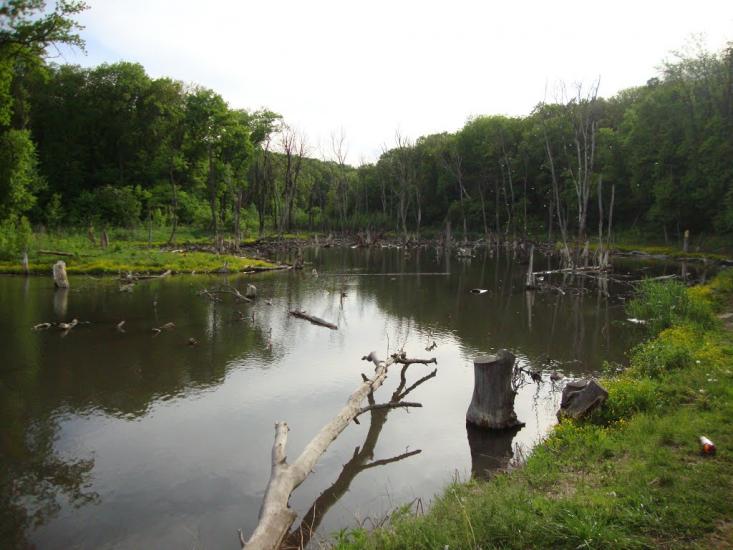 Сєверне з panoramio.com - Syeverne