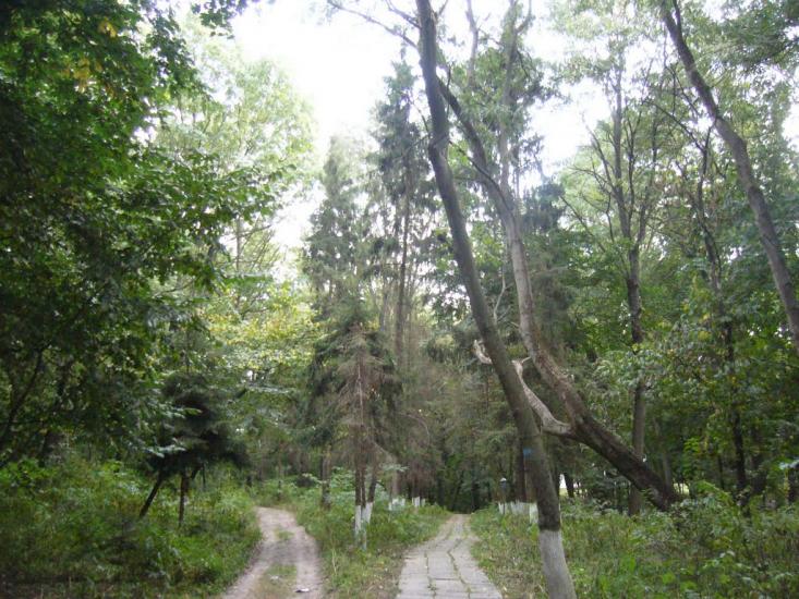 Верхівня з panoramio.com - Верхівня