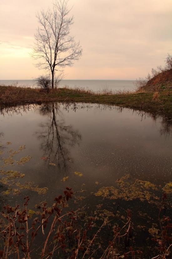 Скельки з panoramio.com - Скельки