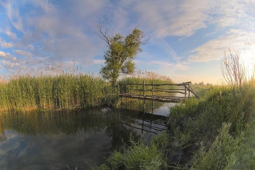 Черкаські Тишки з panoramio.com - Cherkaski Tyshky