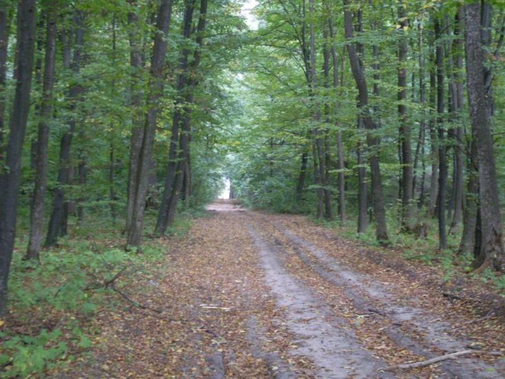 Кунка з panoramio.com - Кунка