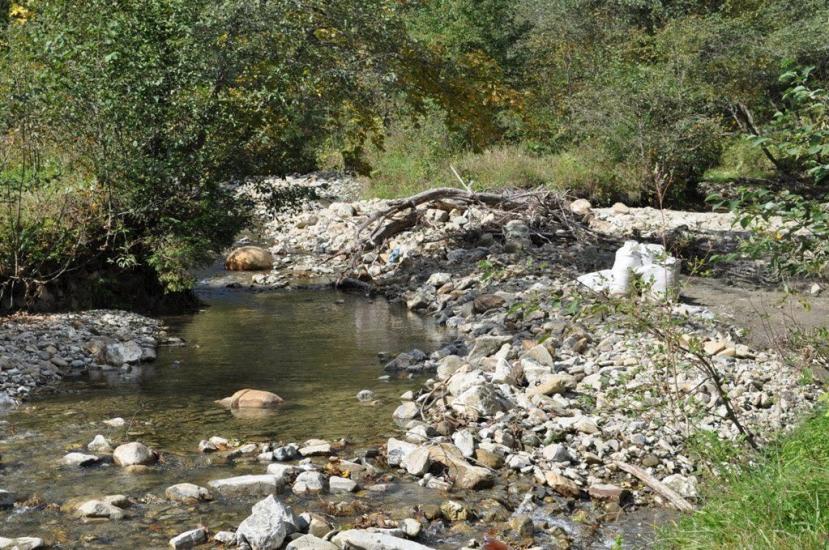 Акрешори з panoramio.com - Акрешоры