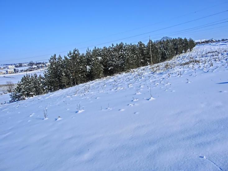 Віньківці з panoramio.com - Виньковцы