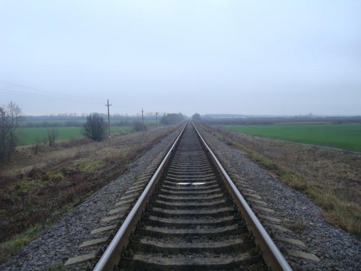 Воронківці з panoramio.com - Воронковцы