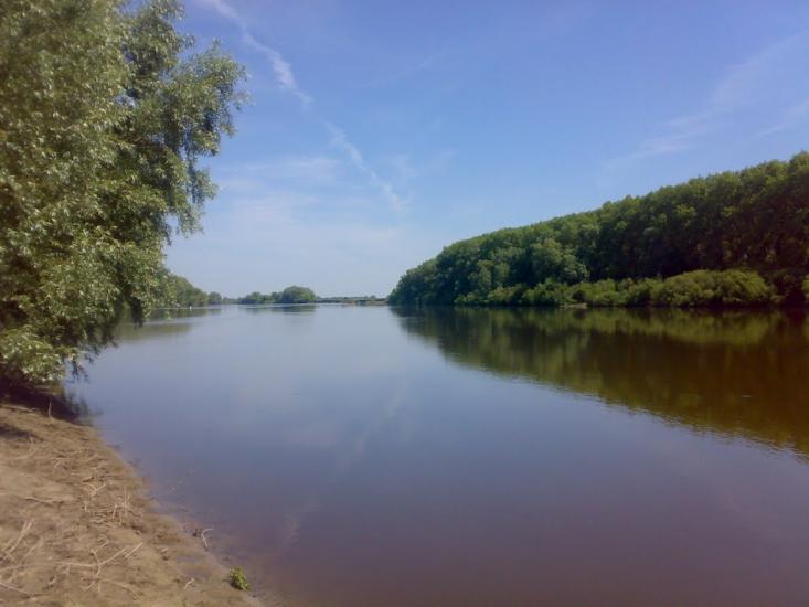 Ковчин з panoramio.com - Ковчин