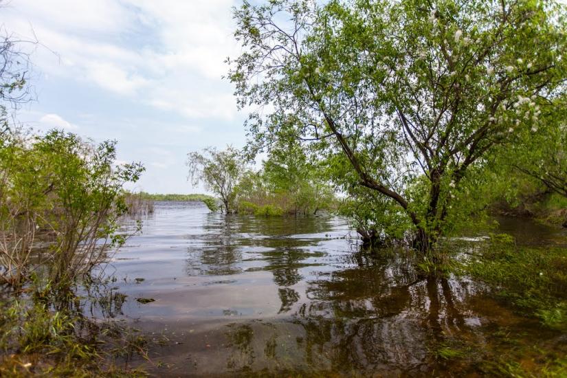 Пекарі з panoramio.com - Пекарі