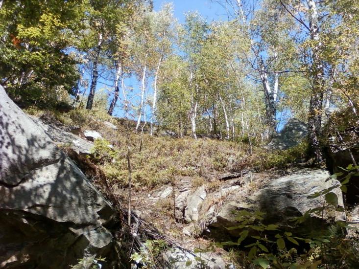 Труханів з panoramio.com - Trukhaniv