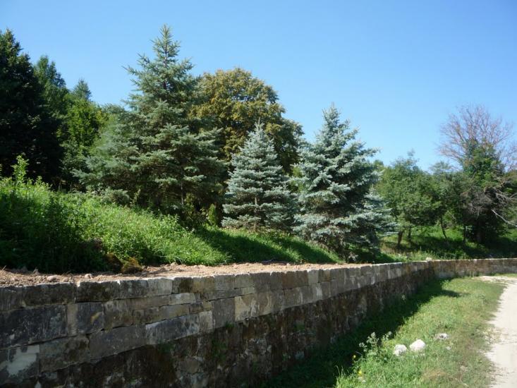 Зіньків з panoramio.com - Зиньков