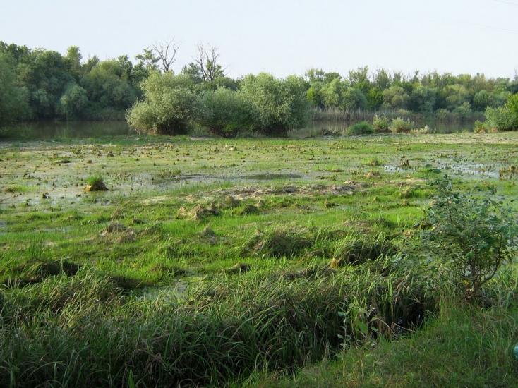 Красна Коса з panoramio.com - Красна Коса